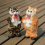 Interactive Singing Dancing Yellow Cat Doll Toy Gift for Kids 4