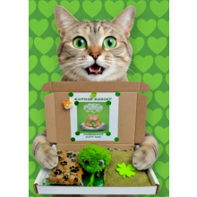 Catnip Addict treat box for cats
