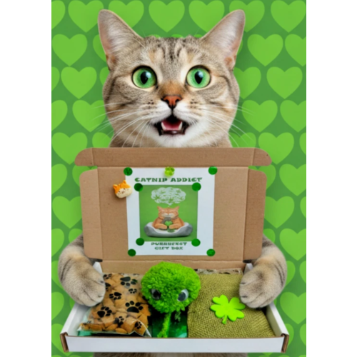 Catnip Addict treat box for cats