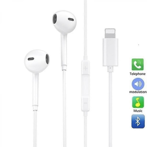 Chargeur rapide double port + câble Lightning + écouteurs Lightning 1