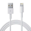 Chargeur rapide double port + câble Lightning + écouteurs Lightning 4