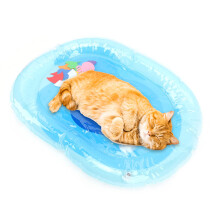 Pet Inflatable Water Bed for Cats & Dogs, Anti-Scratch, Thick PVC, 60x20cm
