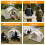 White Waterproof Backpacking Tent for 1-2 People 8
