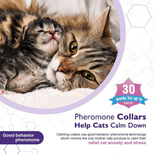 (Gray) 4pcs Cat Calming Collar - Stress Relief for All Sizes 1