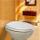 Bemis Bemis Canyon Wood Slow Close UltraFix 4