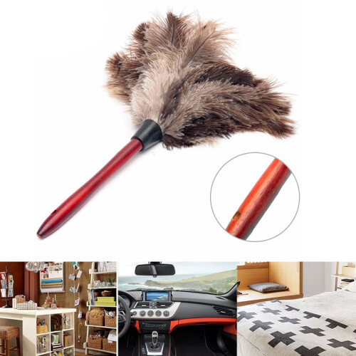 Long Feather Duster for High Ceiling & Furniture 1
