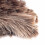 Long Feather Duster for High Ceiling & Furniture 8