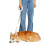 Correa LED recargable por USB con cable retráctil para perros pequeños. 4