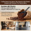 (Black Short Handle) Coffee Measuring Spoon 10g Capacity ABS Plastic Simple Dual Function For Home Office 3