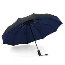 Parapluie automatique pour voyages d'affaires, double couche coupe-vent et armature résistante, compagnon fiable pour vos déplacements.