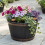 Strata Small Round Barrel Planter Oakwood Effect Plastic 1
