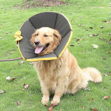 (Grey,M) Protective Pet Recovery Collar Prevent Scratching Tool Multiple Size Collar for Dog Cats After Surgeries Yellow XS1