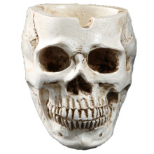 Resin Skull Planter for Indoor/Outdoor Plants