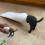 Pooping Dog Toothpaste Topper 50g / 1.76oz Black 1