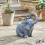 Smart Garden Smart Solar Jumbo Showers Elephant Fountain 1