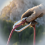 Climbing Quick Connect Buckle for Safety 9