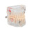 Educational Dental Caries Model, Clear Gingival, Portable 9x7cm 6