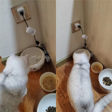 USB Vattendispenser för Husdjur och Katt, Flödesfilter, Induktion, Automatisk Cirkulationsvattendispenser, Dränkbar Pump