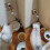 USB Pet  Cat Water Dispenser Flow Filter Induction Automatic Circulation Water Dispenser Submersible Pump 4