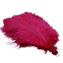 20-25cm Ostrich Feathers Stage Performances Feathers Handmade DIY Jewelry Decorations Ostrich Feathers Rose Red