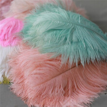 20-25cm Ostrich Feathers Stage Performances Feathers Handmade DIY Jewelry Decorations Ostrich Feathers & Green