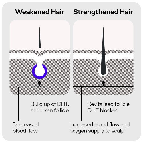 Sons Strengthening Shampoo 1x200ml 1