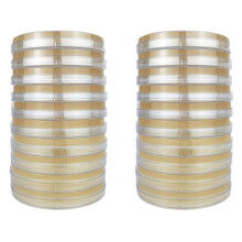 Potato Dextrose Agar Petri Dish Bacterial Petri Dish for Mushrooms, Home Test Kit or Science Fair Project, 20PCS