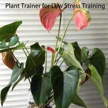 20X 90 Degree Plant Bender, Plant Trainer for Low Stress Training Growth Kit, Control the Way Your Plant Grows -B