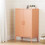 South Shore Accent Cabinet, Pale Orange 2