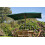 Dark Green Rectangular 3m x 2m Wooden Garden Parasol 3