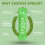 Spruce Water Lime & Mint 12 Pack 2