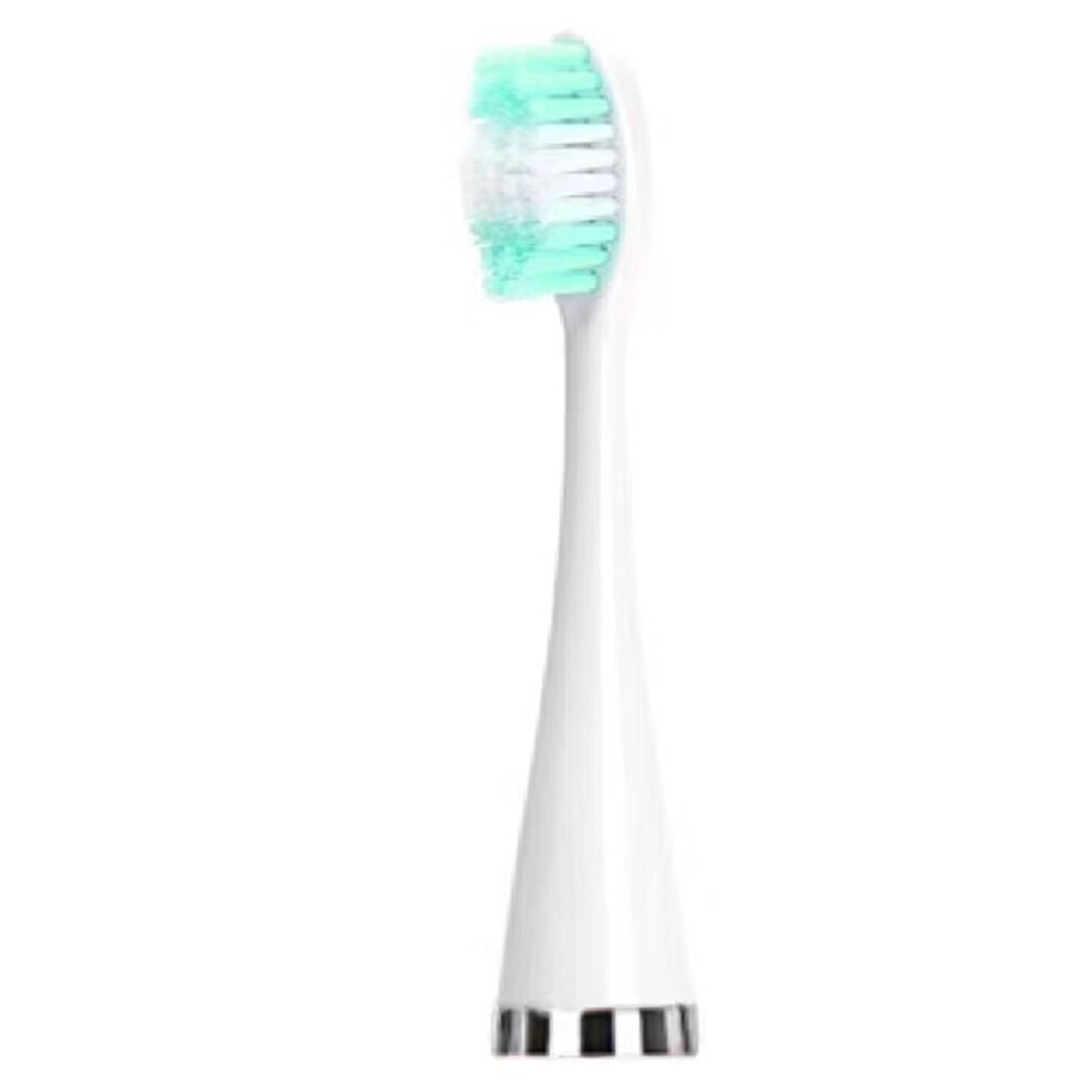 Dachuang Beauty (Toothbrush Head) Usb Rechargeable Cordless Teeth Cleaner