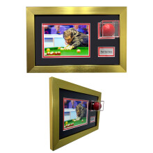 (Gold) 3D Acrylic Snooker Ball Display Frame - Wall Mounted Memorabilia Gift