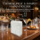 Transparent U-Shaped Napkin Holder 8