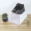 (Pink) Sturdy Stackable Shoe Box for Men & Women 3