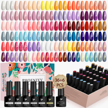 Gel Nail Polish Set, Phoenixy 42