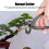 210mm/270mm Professional Sharp Branch Cutters Garden Bonsai Tools Black 1