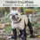 (S) Waterproof Dog Boots - Anti-Slip Paw Protector 1