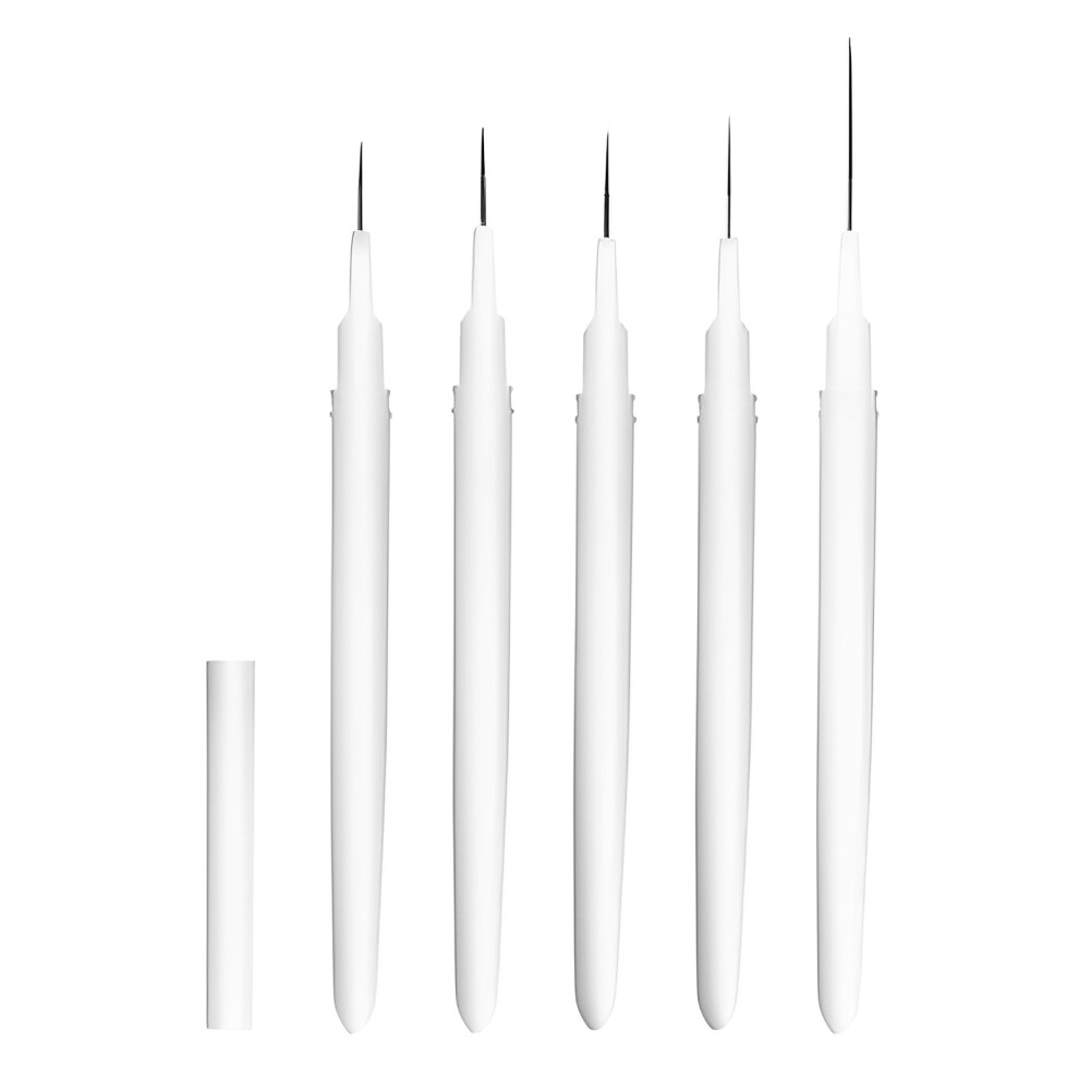 Dachuang Beauty White (White) 5Pcs Nail Art Brushes For Beginners