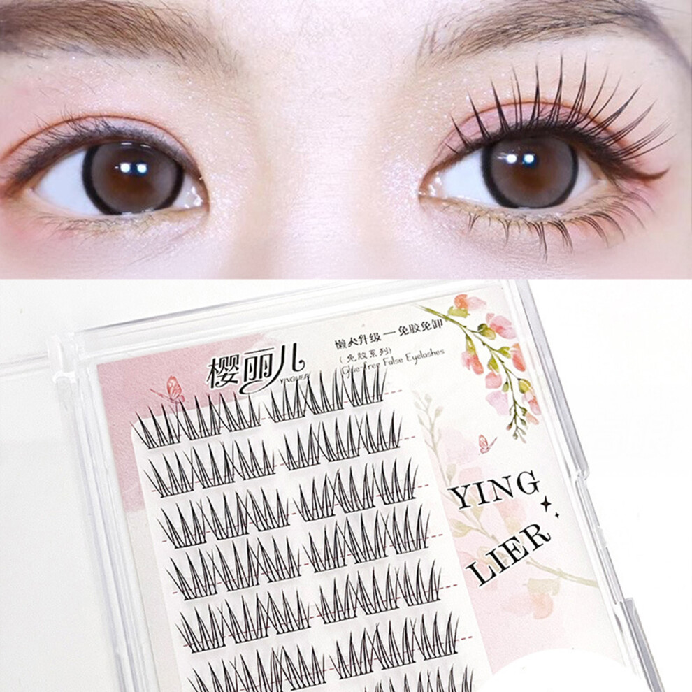 Dachuang Beauty Beginner-Friendly No Glue Eyelashes - C Curl Wispy Lashes