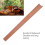 Redwood Cello Fingerboard LN184 for Practice & Performance 4