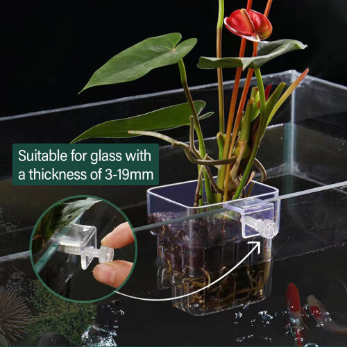 (1PCS) Support Plantes Aquarium en Acrylique 2