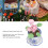 1:12 Scale Dollhouse Lotus Pot - 5cm Tall Resin 4