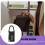 Heavy Duty Metal Padlock for Outdoor Use 2