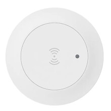 Tuya ZigBee 24G MmWave Mänsklig Närvaro med Stöd för Belysningsdetektor Ljusomkopplare 95-250V B
