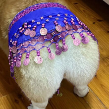(Royal Blue) Corgi Dog Costume with Sequins, Hip Dance Clothes