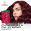L'Oréal Paris Elvive Colour Protect Shampoo 2