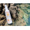 Calypso Calypso Once A Day Sun Protection 5