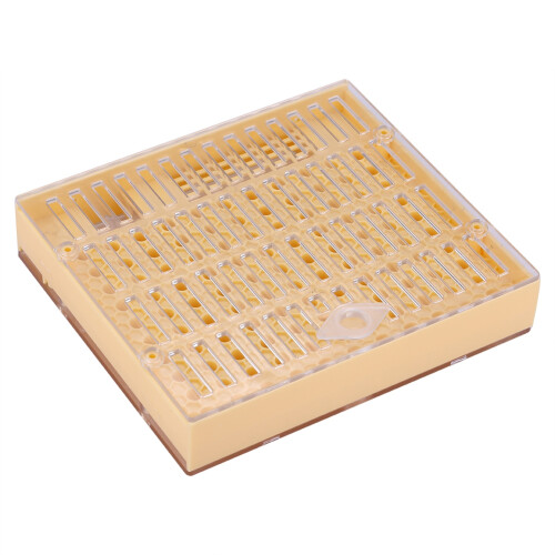 Queen Rearing Cell Cup Kit Box for Beekeepers Easy to Use 75mm Size White