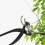 210mm/270mm Professional Sharp Branch Cutters Garden Bonsai Tools Black 6
